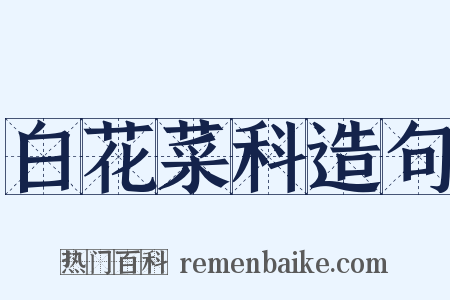 白花菜科造句是什么意思的图片